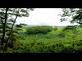 Hawaii 2021 - Day 2 Hike (Kauai)