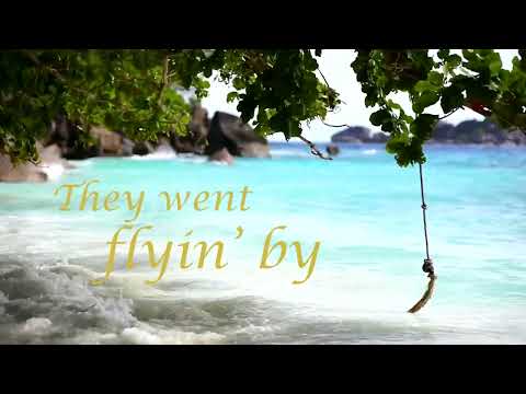 Frank Sinatra "Summer Winds" Lyric Video