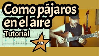 Video thumbnail of "Como pajaros en el aire | Tutorial"