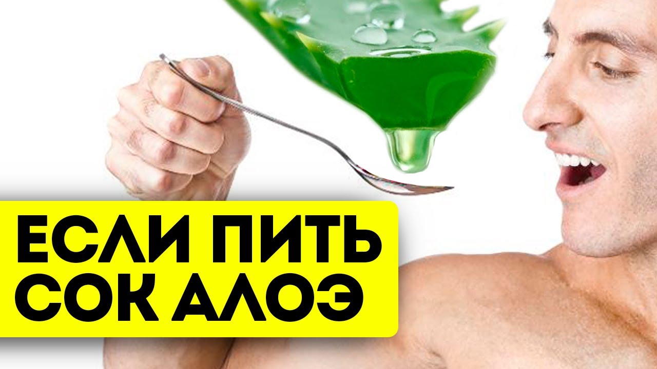 Пью и оживаю! Смотрите, что творит алоэ и когда его нужно употреблять