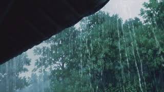 Idk you yet - slowed with rain \/ forest version, Alexander 23