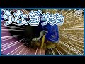 どでかい天然うなぎを発見⁉自分で突いたうなぎと呑むお酒は最高!!!【五島列島】