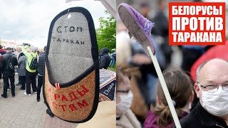 Белорусы выходят с тапками по всей стране | Свергнем таракана