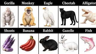 Dangerous Animals And Their Favourite Foods