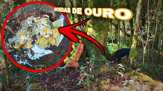 Tesouro milionário encontrado por um cachorro,botija de ouro