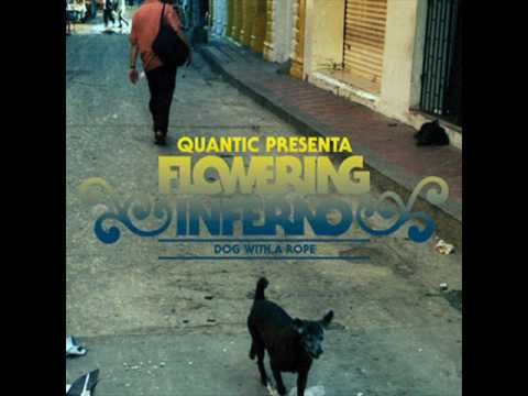 quantic presenta flowering inferno : no soy del valle (dog with a rope)