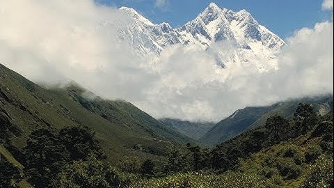 071 سورة نوح الشيخ إبراهيم جمال القرجاوي برواية #روح_عن_يعقوب