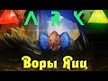 ARK: Scorched Earth - Погоня за яйцами виверны