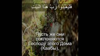Сура Курайшиты 106:3 |Чтение Корана с русским переводом| Quran Translation Surah Quraish قريش