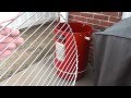 Brinkmann Electric Smoker Initial Setup HOWTO