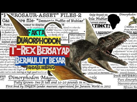 FAKTA DIMORPHODON, T-REX BERSAYAP PENGACAU JURASSIC WORLD #DIMORPHODON