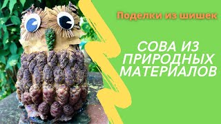 Сова из природных материалов Сова из природных материалов