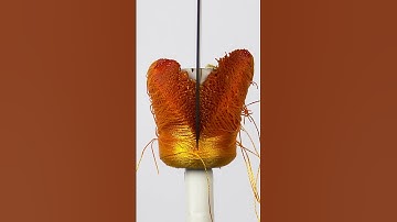 Slicing Hot Knife Through Thread | What