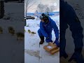 HILARIOUS Delivery Pilot Wildlife Encounters