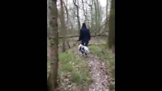 Diana und Amy. So entspannt können Spaziergänge sein die Miteinander gemacht werden.