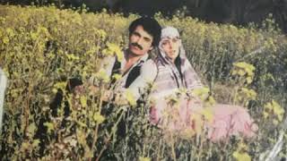 İbrahi̇m Tatlises - Ayrilik Kolay Deği̇l - Orijinal Plak Kaydı