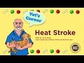 Heat Stroke | Vet's Corner with Dr. Jerry Klein Heat Stroke | Vet's Corner with Dr. Jerry Klein