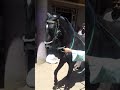 آبار الوقف آبار الوقف