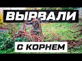 Склон держался только за корни старых деревьев, что теперь будет?