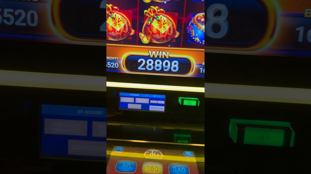 Huge Win And Still Going #shorts #casino #win #cruise #adventure