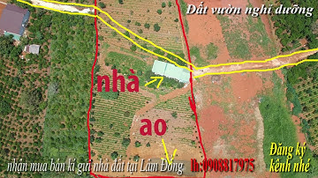 bán 5 sào đất tại xã Đạmbri tp Bảo lộc có 400m thổ cư có đường chạy qua giữa đất gần trung tâm