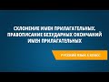 Склонение имен прилагательных. Правописание безударных окончаний имен прилагательных