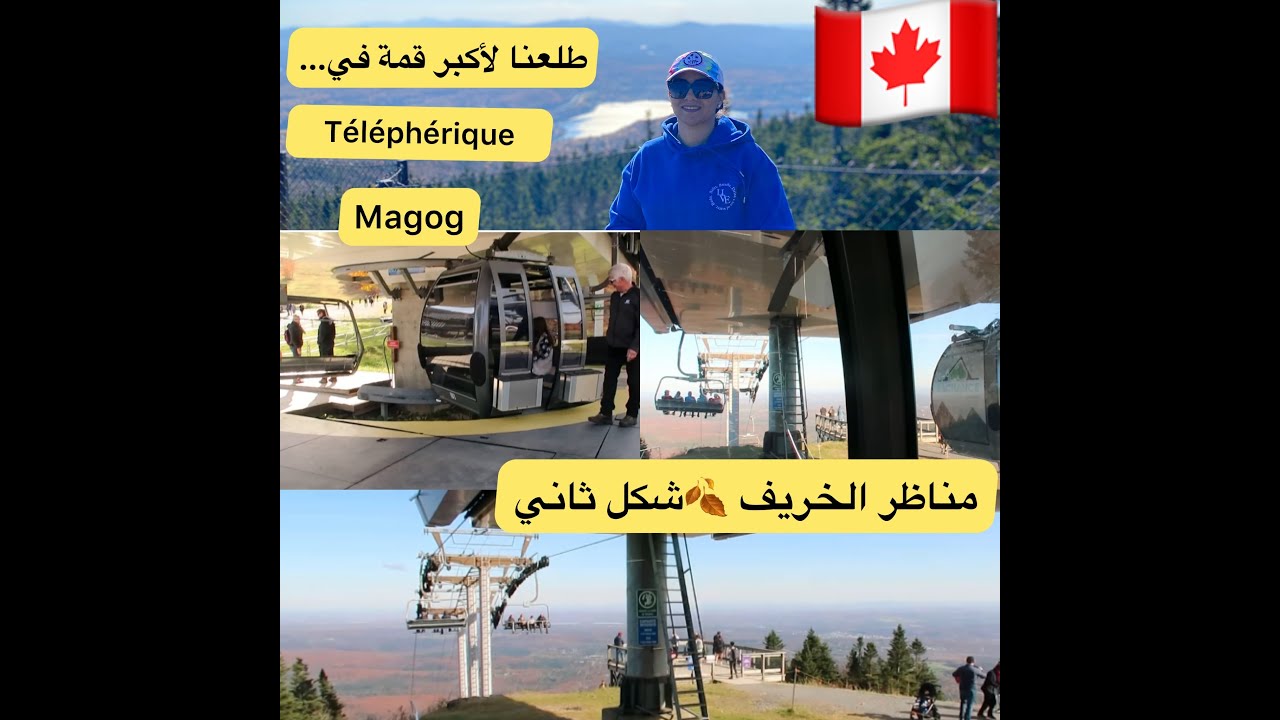 منظر ألوان الخريف 🍂من أعلى قمة ⛰هما زعموا و انا بقيت حاصلة حتى سخفات لينا😱