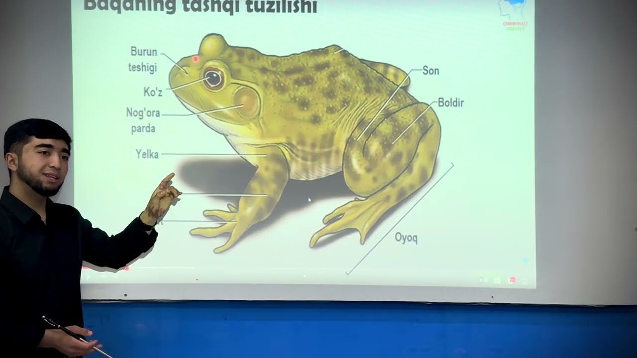 Suvda hamda quriklikda yashovchilar