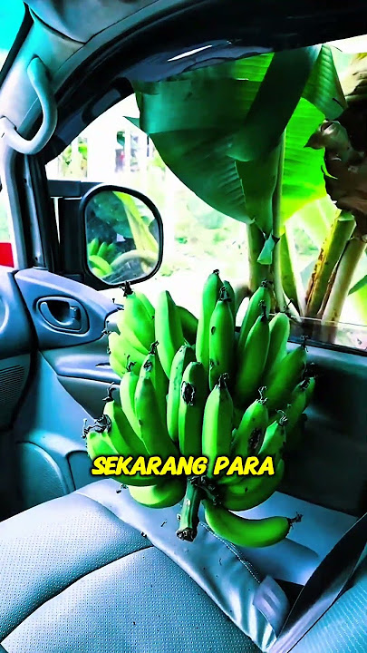 Viral!! Ini dia cara maling buah terbaru yang sedang meresahkan