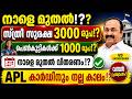 വമ്പൻ പ്രഖ്യാപനം! സ്ത്രീ സുരക്ഷ 3000 ? പെൺകുട്ടികൾക്ക് 1000 നാളെ മുതൽ? APL കാർഡിനും #pension #apl