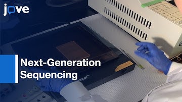 Next-Generation Sequencing Of 16S Ribosomal RNA Gene Amplicons l Protocol Preview