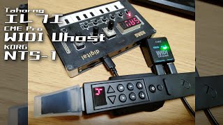 エレフエをWIDI UhostでKORG NTS-1にワイヤレスでつなぐ