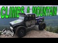 Vanquish VS4-10 Phoenix climbs a mountain!! Mt. Hood National Forest / Crow Below Customs RC Garage