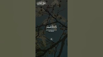 #سورة_الحجرات ||حالات واتس قرآن ||القارئ#ياسر_الدوسري #تلاوة_هادئة #المصحف