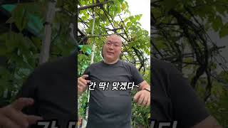 국밥충 신곡 발표 