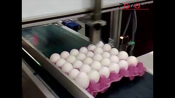 Citronix - Egg coding 1000 series