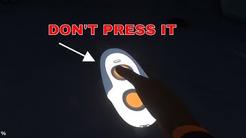 MYSTERIOUS BUTTON! DON