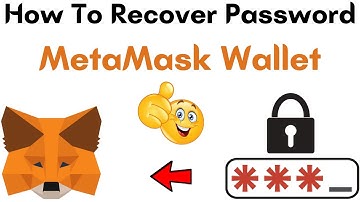 How to Recover Password of MetaMask Wallet | How to Reset Password in Metamask
