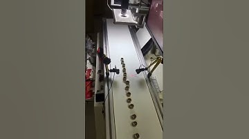 automatic visual laser marking machine for nut#machine #factory #laser #productionline #nut
