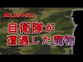 ATLASラジオ2nd 67 自衛隊が遭遇した魔物！テケテケ？姦姦蛇螺？