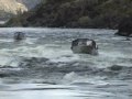 Wildsheep Rapid Hells Canyon Idaho Whitewater Jet Boating