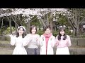 八代亜紀「だいじょうぶ」(留学生と一緒に「だいじょうぶ」short ver.)