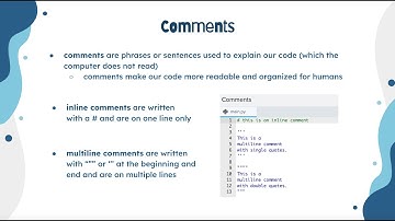 Python Turtle Concepts - Comments
