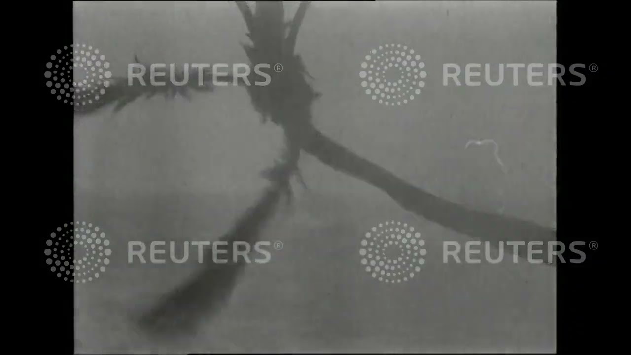 1947 Worst hurricane in a decade rips through Southern Florida