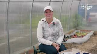 видео: Обогрев грунта в теплице для  ранних посадок с помощью нагревательной ленты Садовый эксперт. картинка: Обогрев грунта в теплице для  ранних посадок с помощью нагревательной ленты Садовый эксперт.