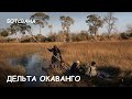 Мир Приключений - Дельта реки Окаванго. Лучший отдых в Ботсване. Okavango Delta. Botswana.