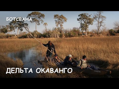 Video: Окаванго дельтасы, Ботсвана: Толук жол