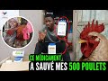 10 mdicaments a utiliser pour reussir votre elevage de poulet goliath et local en afrique investir