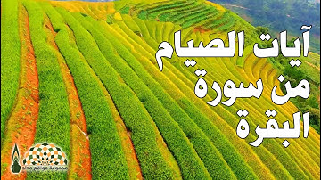 تلاوة عطرة لآيات الصيام من سورة البقرة للقارئ محمد صديق المنشاوي رحمه الله