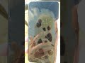 Honor 9X Я в городской пляж комарове